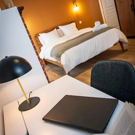 L'albatros 008 - Hypercentre Cosy Wifi